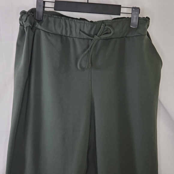 Joie Ankle Soft Dark Olive Green Pull-On Drawstring Pants Size Medium - Picture 2 of 8